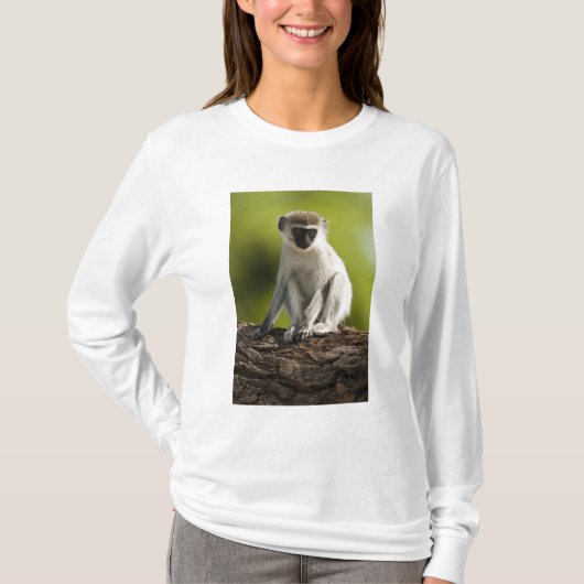 Samburu Game Reserve, Kenia, Vervet Monkey T-shirt (Voorkant)