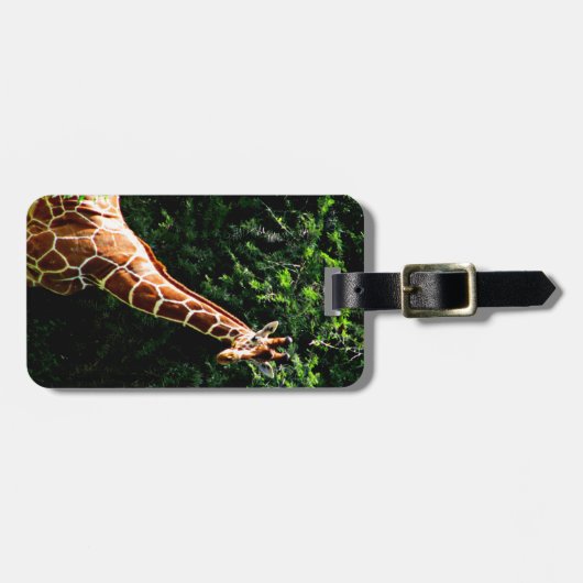 Samburu Giraffe Bagagelabel (Voorkant horizontaal)