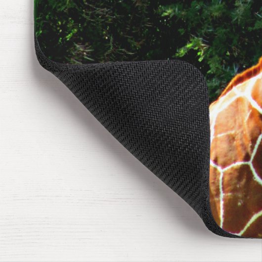 Samburu Giraffe Muismat (Hoek)