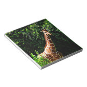 Samburu Giraffe Notitieblok (Schuin)