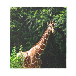 Samburu Giraffe Notitieblok