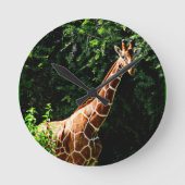 Samburu Giraffe Ronde Klok (Voorkant)