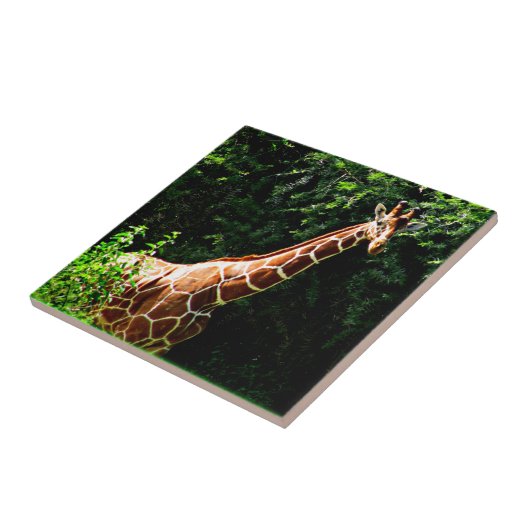 Samburu Giraffe Tegeltje (Zijkant)