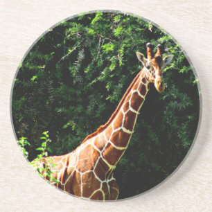 Samburu Giraffe Zandsteen Onderzetter