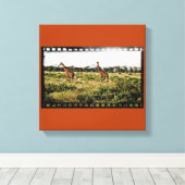 Samburu Giraffes Canvas Afdruk (Insitu (Houten vloer))