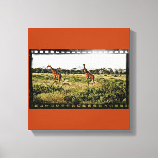 Samburu Giraffes Canvas Afdruk