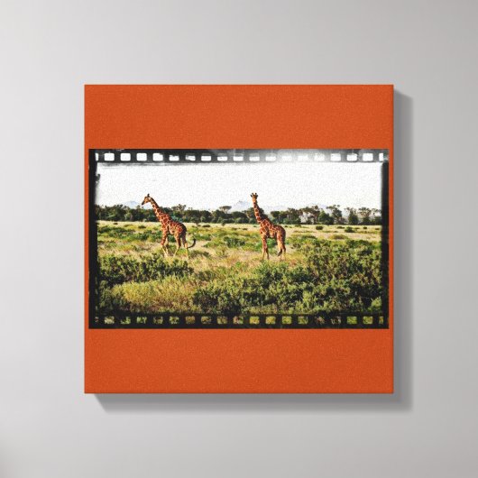 Samburu Giraffes Canvas Afdruk (Voorkant)