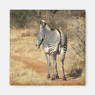 Samburu National Reserve (Kenia) Magneet