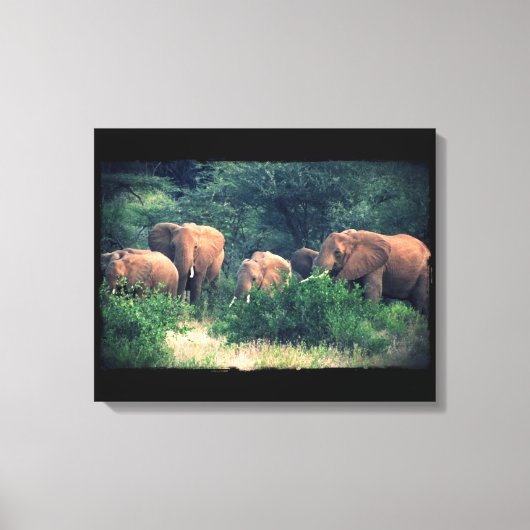 Samburu Olifantenkudde Canvas Afdruk (Voorkant)