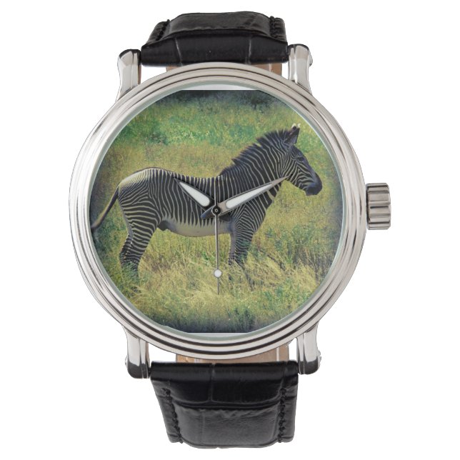 Samburu Zebra Horloge (Voorkant)