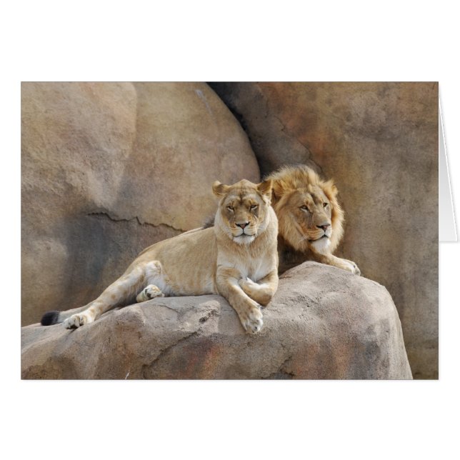 Samen (Voorkant Horizontaal)