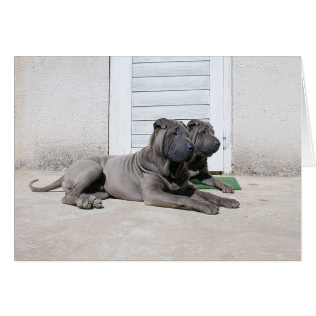 Samen... (Voorkant Horizontaal)