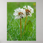 Samen. Altijd Poster (Voorkant)