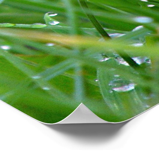 Samen. Altijd Poster (Hoek)