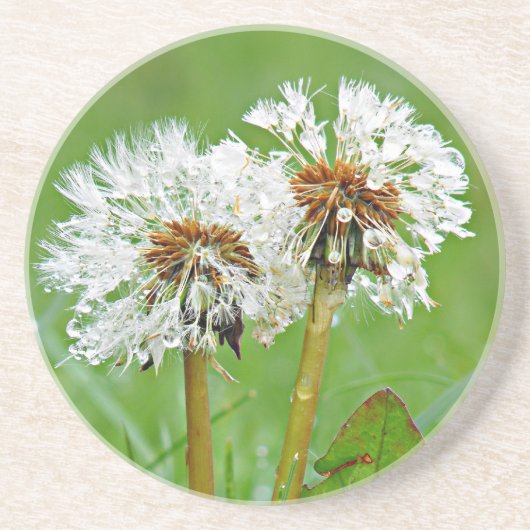 Samen. Altijd Zandsteen Onderzetter (Voorkant)