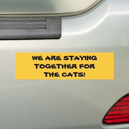 SAMEN BLIJVEN VOOR DE bumpersticker VAN CATS (Op auto)