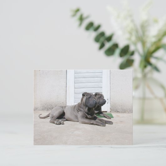 Samen Briefkaart (Staand voorkant)