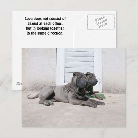 Samen Briefkaart (Voorkant / Achterkant)