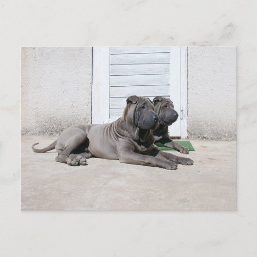 Samen Briefkaart (Voorkant)