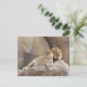 Samen Briefkaart (Staand voorkant)