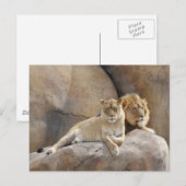 Samen Briefkaart (Voorkant / Achterkant)