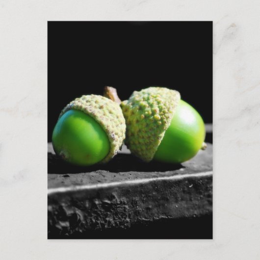 Samen Forever Briefkaart (Voorkant)