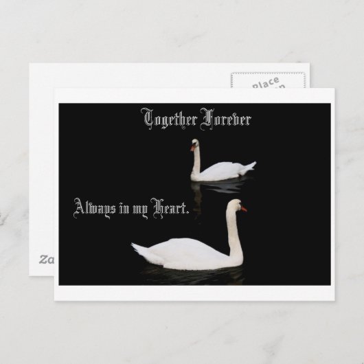 Samen Forever Swans. Briefkaart (Voorkant / Achterkant)