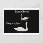 Samen Forever Swans. Briefkaart (Voorkant)