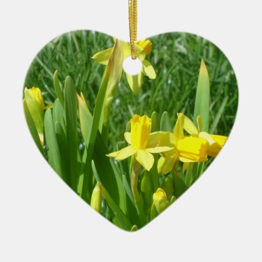 Samen Forever Yellow Daffodills Ornament (Voorkant)