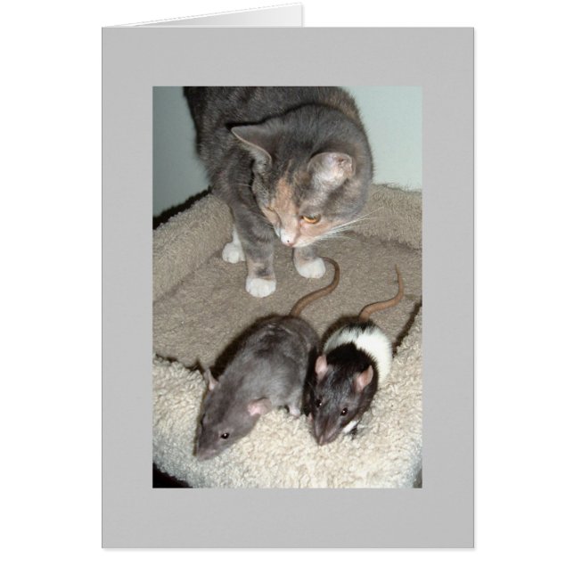 samen kunnen we (Voorkant)