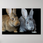 Samen Poster (Voorkant)