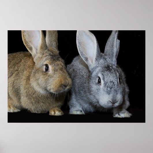 Samen Poster (Voorkant)