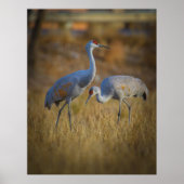 Samen Poster (Voorkant)