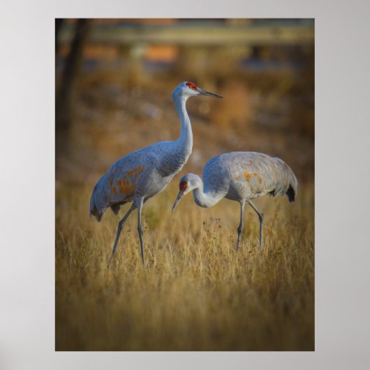 Samen Poster (Voorkant)