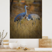 Samen Poster (Keuken)