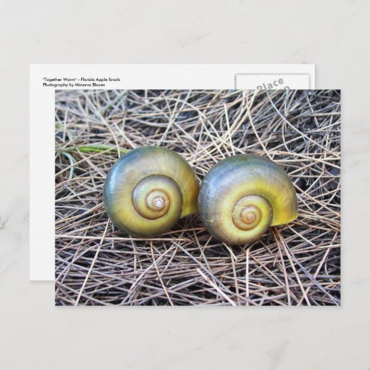 Samen Warm Briefkaart (Voorkant / Achterkant)