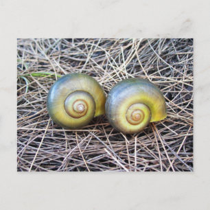 Samen Warm Briefkaart