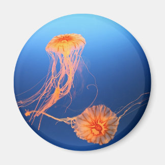 Samen zweven magneet