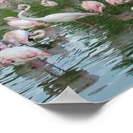 samenblijven poster (Hoek)