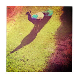  samengeperste pekel op grasgras tegeltje