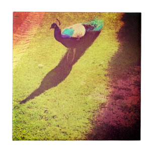 samengeperste pekel op grasgras tegeltje