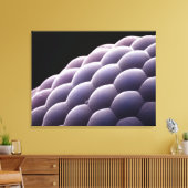 Samengesteld oog van een insect canvas afdruk (Insitu (Woonkamer))