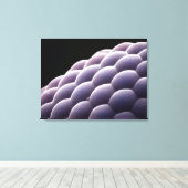 Samengesteld oog van een insect canvas afdruk (Insitu (Houten vloer))