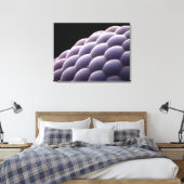 Samengesteld oog van een insect canvas afdruk (Insitu (Slaapkamer))