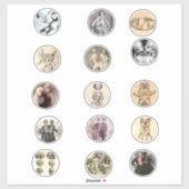 Samengevoegde Siamese Twins Sideshow Freaks Pics A Sticker (Vel)