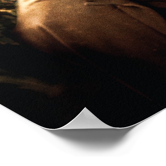 Samenstelling Aragorn en Rivendell Poster (Hoek)