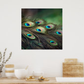 Samenstelling van heldere pauwenveren poster (Keuken)