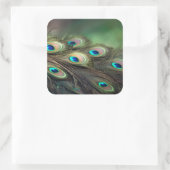 Samenstelling van heldere pauwenveren vierkante sticker (Tas)