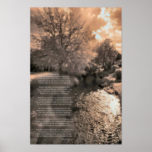 Samenstelling van het Poster van de Bride