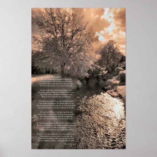 Samenstelling van het Poster van de Bride (Voorkant)